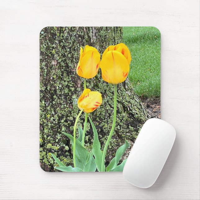 Drei gelbe Tulissen / Mousepad (Mit Mouse)