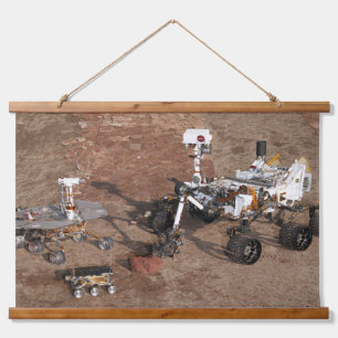 Drei Generationen von Mars-Rover. Wandteppich Mit Holzrahmen