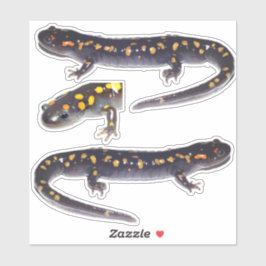 Drei Gepunktete Salamander Vinyl Stickers Aufkleber