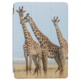 Drei Giraffen-Aufstellung iPad Air Hülle