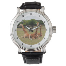Drei Giraffen bei Fossil Rim Armbanduhr