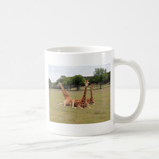 Drei Giraffen bei Fossil Rim Tasse (Rechts)