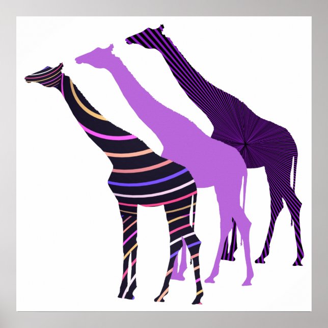 Drei Giraffen Design 5 Poster (Vorne)