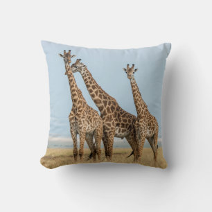 Drei Giraffen posieren Kissen
