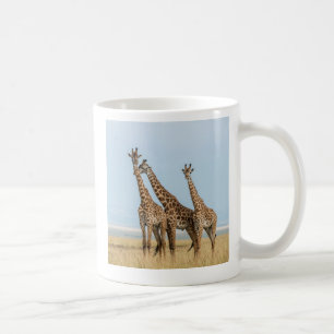 Drei Giraffen posierend Tasse