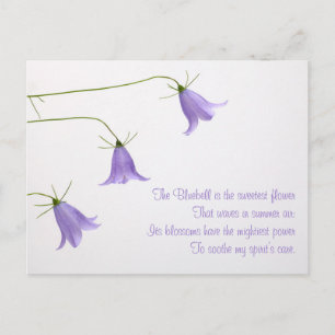 Drei Glockenblumen-Foto mit einem Gedicht Postkarte