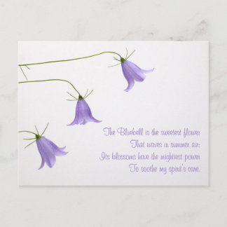 Drei Glockenblumen-Foto mit einem Gedicht Postkarte