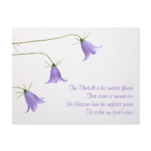 Drei Glockenblumen-Foto mit einem Gedicht