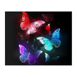 Drei glühende Schmetterlinge im Hintergrund Acryl Wandkunst