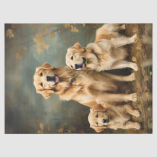 Drei Golden Retriever Hunde Porträt Seidenpapier