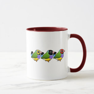 Drei Gouldian Finke Tasse