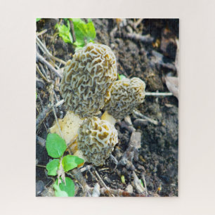 Drei graue Mushrooms im Wald Puzzle