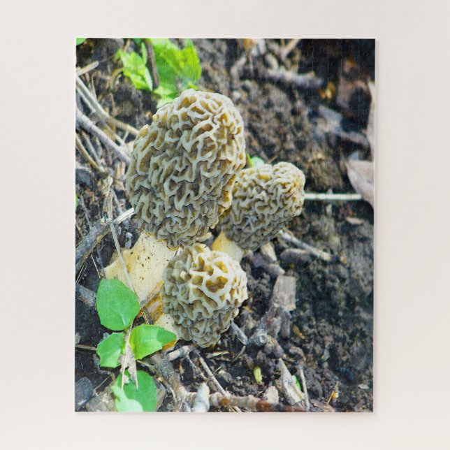 Drei graue Mushrooms im Wald Puzzle (Vertikal)