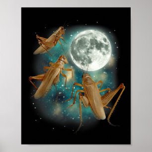 Drei Grillen Mond 3 Insekt Heulendes Meme Magie ve Poster