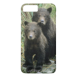 Drei Grizzlybären-Jungtiere oder Coys Case-Mate iPhone Hülle