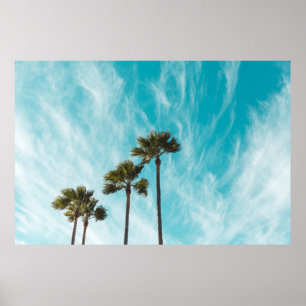 Drei grüne Blätterbäume unter den Zyruswolken Poster
