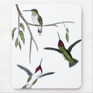 Drei grüne Kolibris Mousepad