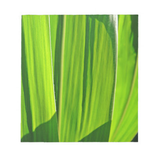 Drei Grüne Maisæ Notizblock