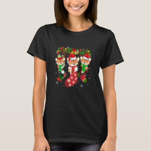 Drei Guinea Schweinefleisch in Socken Weihnachten  T-Shirt