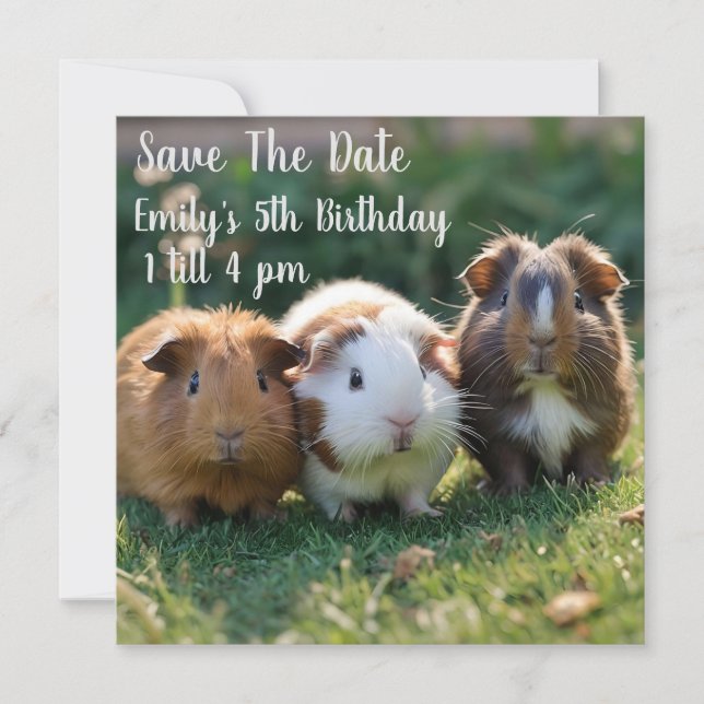 Drei Guinea von Säuglingen, Save The Date (Vorderseite)