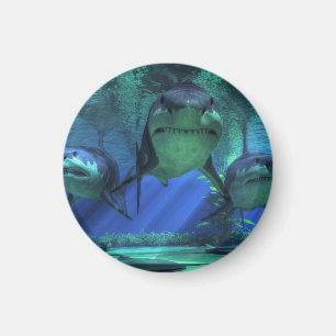 Drei Haifische Magnet