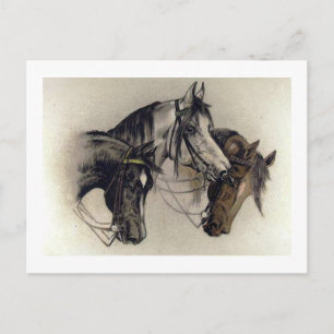 Drei handgezeichnete Pferdeköpfe Vintage Postkarte