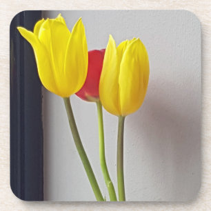 Drei harte PlastikUntersetzer der bunten Tulpen Getränkeuntersetzer