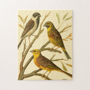 Drei Hausvögel auf einem Ast sitzend Puzzle