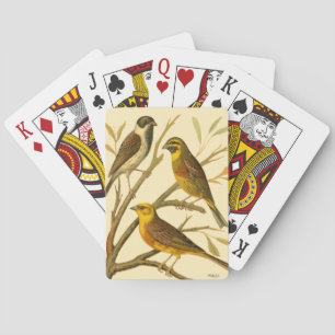 Drei Hausvögel auf einem Ast sitzend Spielkarten