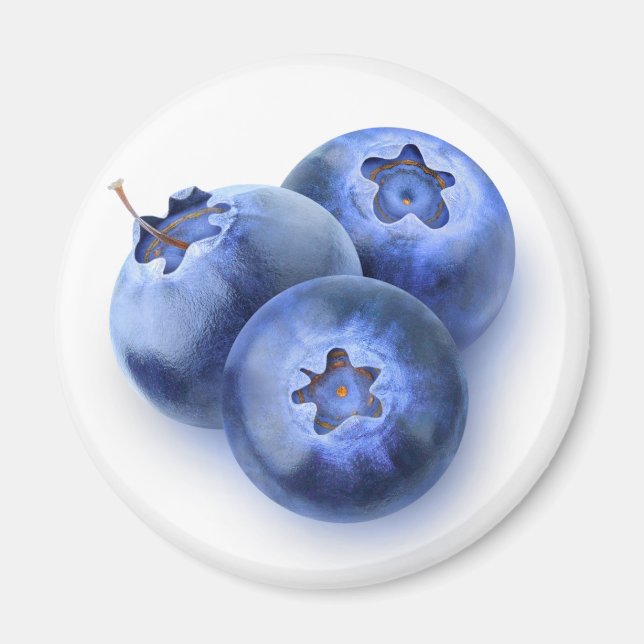 Drei Heidelbeeren Magnet (Vorne)