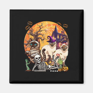 Drei Horror Siamkatzen Cosplay Hexe Halloween Magnet