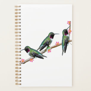 Drei Hummingvögel auf einem Ast Floss Silt Planer