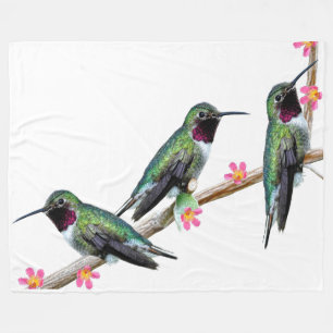 Drei Hummingvögel auf einem Zweig eines Feuers Fleecedecke