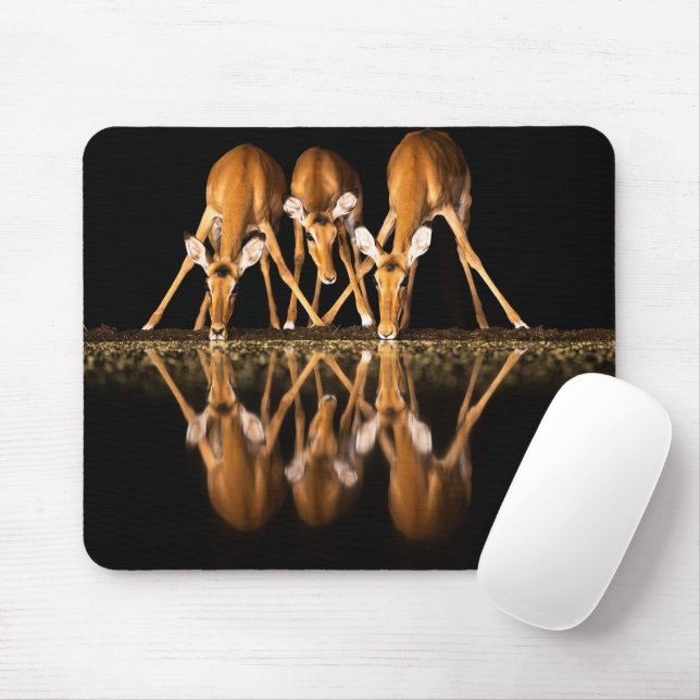 Drei Impalas trinken nachts zusammen Mousepad (Mit Mouse)