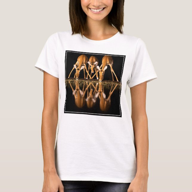 Drei Impalas trinken nachts zusammen T-Shirt (Vorderseite)