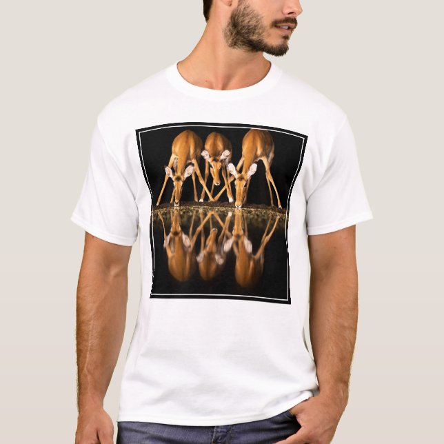Drei Impalas trinken nachts zusammen T-Shirt (Vorderseite)