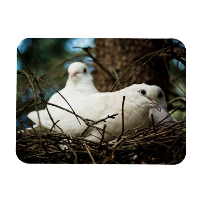 Drei in einem Baum Magnet (Horizontal)