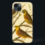 Drei inländische Vögel auf einer Zweigniederlassun Case-Mate iPhone Hülle<br><div class="desc">Der Künstler W. Rutledge hat die lebhaften Farben dieser Hausvögel perfekt eingefangen. Holen Sie sich dieses einfache, aber schön realistische Bild. Seitenansicht von zwei gelben Vögeln und einem dunkleren Vogel auf einem Zweig und Blick in verschiedene Richtungen.</div>