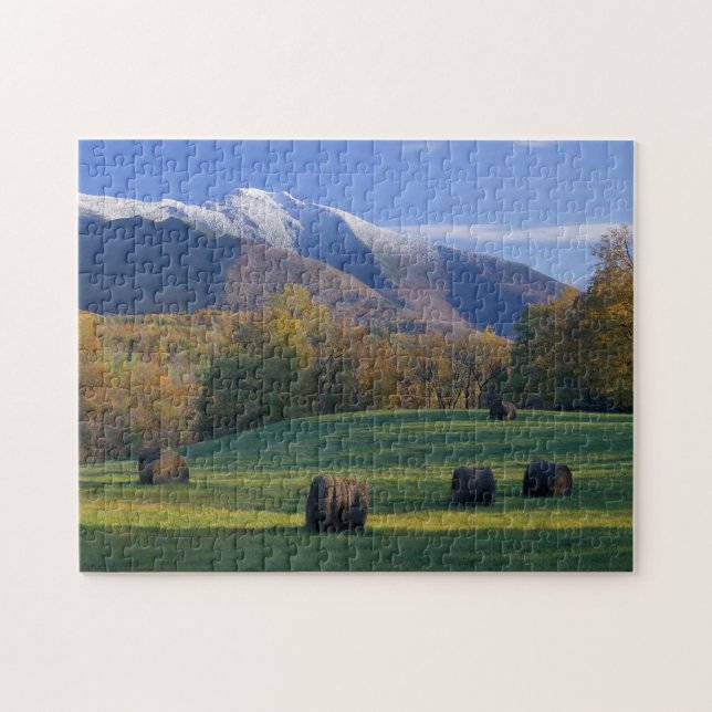 Drei Jahreszeiten Foto Puzzle mit Geschenkboxen (Horizontal)