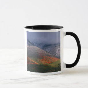 Drei Jahreszeiten mit Laub, roten Ahornbäumen und Tasse