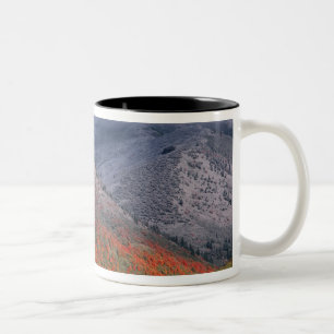 Drei Jahreszeiten mit Laub, roten Ahornbäumen und Zweifarbige Tasse