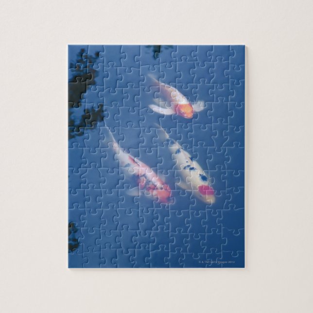 Drei japanische Koi-Fische im Teich Puzzle (Vertikal)