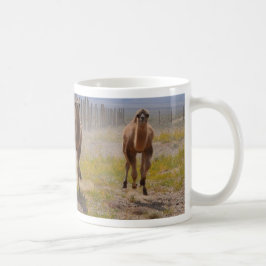 Drei junge Kamele Kaffeetasse