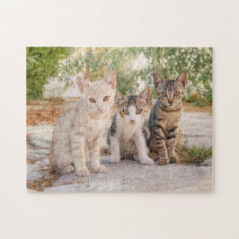 Drei junge niedliche Katzenkätzchen sitzen freundl Puzzle