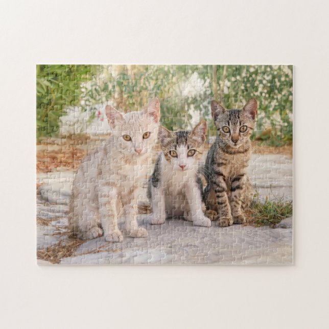 Drei junge niedliche Katzenkätzchen sitzen freundl Puzzle (Horizontal)