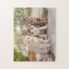 Drei junge niedliche Katzenkätzchen sitzen freundl Puzzle