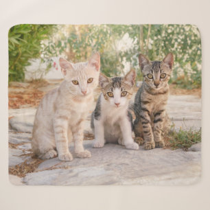 Drei junge niedliche Katzenkätzchen sitzen freundl Sherpadecke