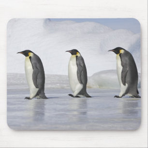 Drei Kaiserpinguine, Insel Snow Hill Mousepad