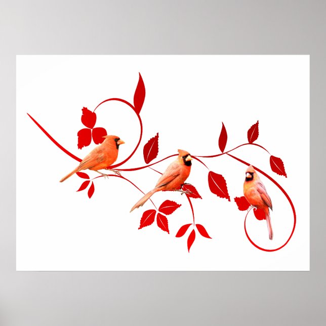 Drei-Kardinal-Poster Poster (Vorne)