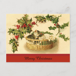 Drei Kätzchen in einem Korb auf der Postkarte